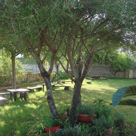 Grazia Deledda Bed & Breakfast Galtellì Dış mekan fotoğraf
