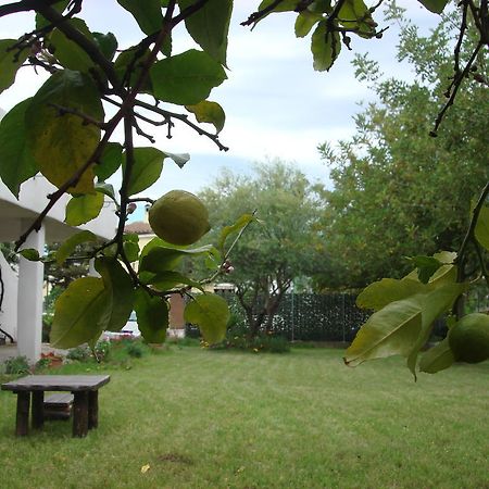 Grazia Deledda Bed & Breakfast Galtellì Dış mekan fotoğraf